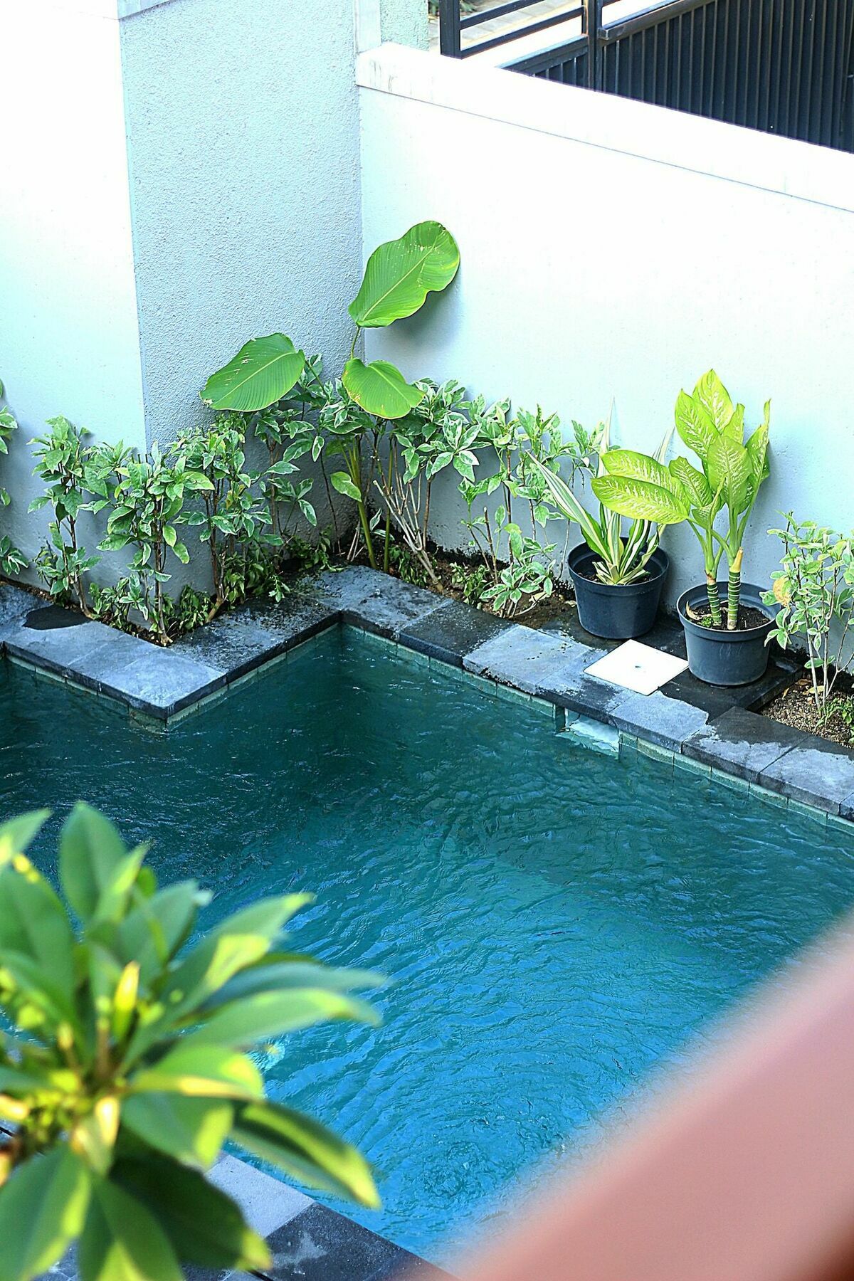 Wisma tamu Sweet Corner 2*